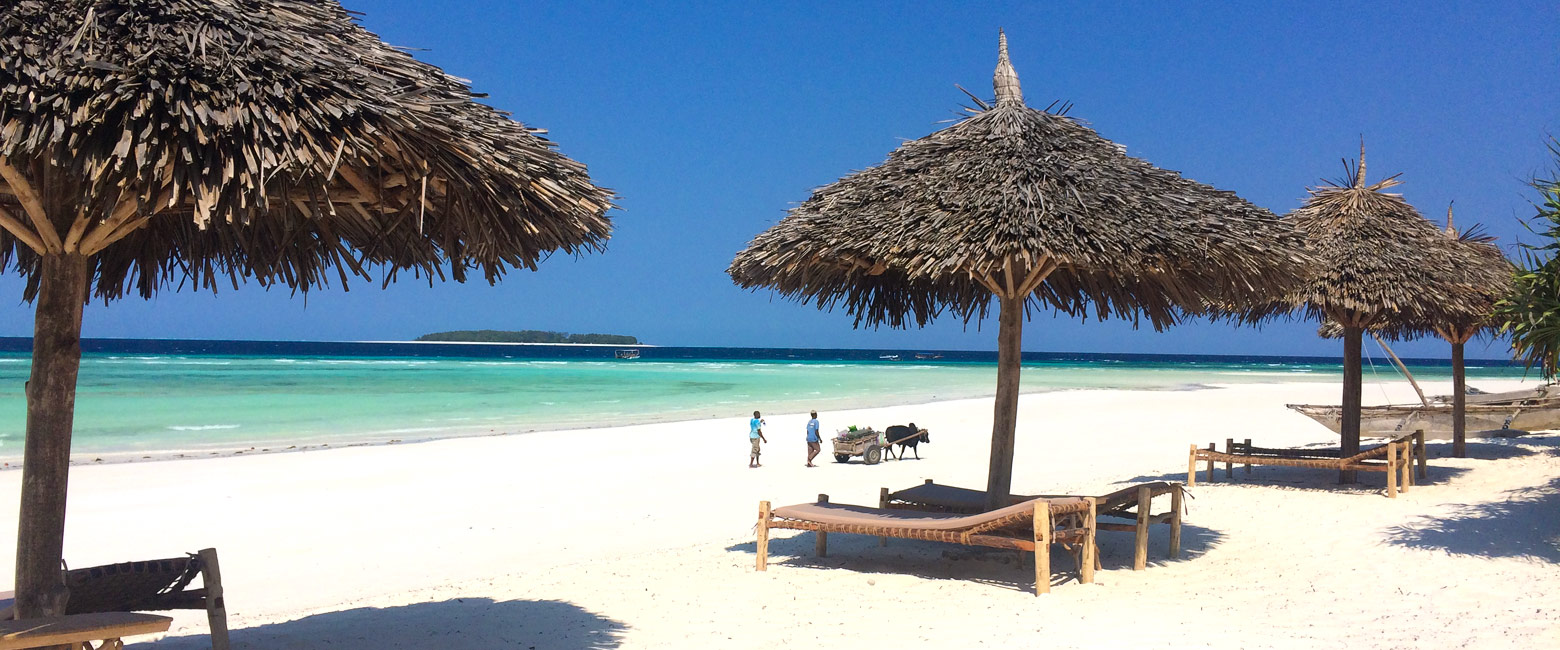 let us know your thoughts about Tanzania and we will help you create the perfect safari