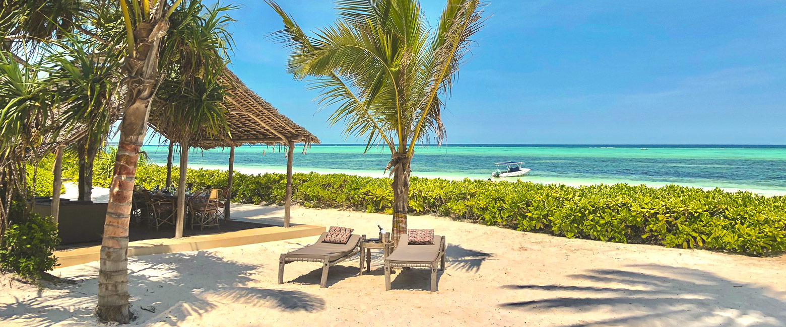let us know your thoughts about Tanzania and we will help you create the perfect safari