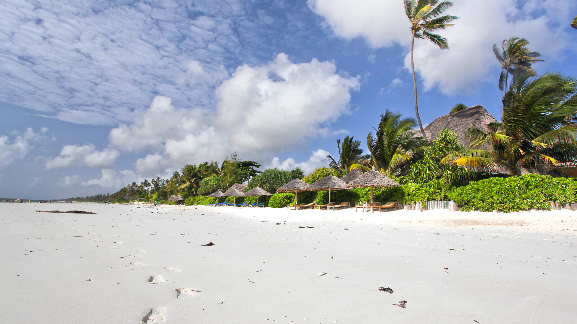 Zoi Retreat Hotel Zanzibar