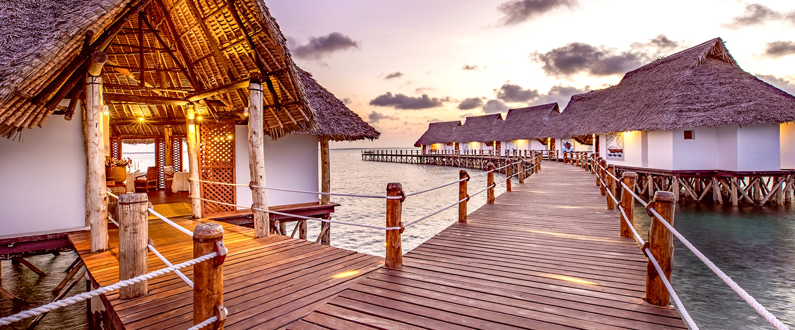let us know your thoughts about Tanzania and we will help you create the perfect safari