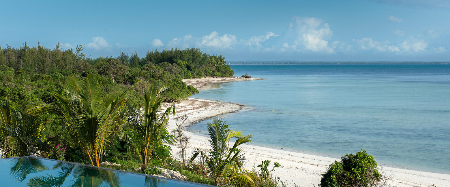 let us know your thoughts about Tanzania and we will help you create the perfect safari