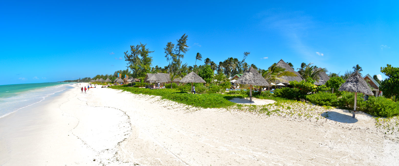 let us know your thoughts about Tanzania and we will help you create the perfect safari