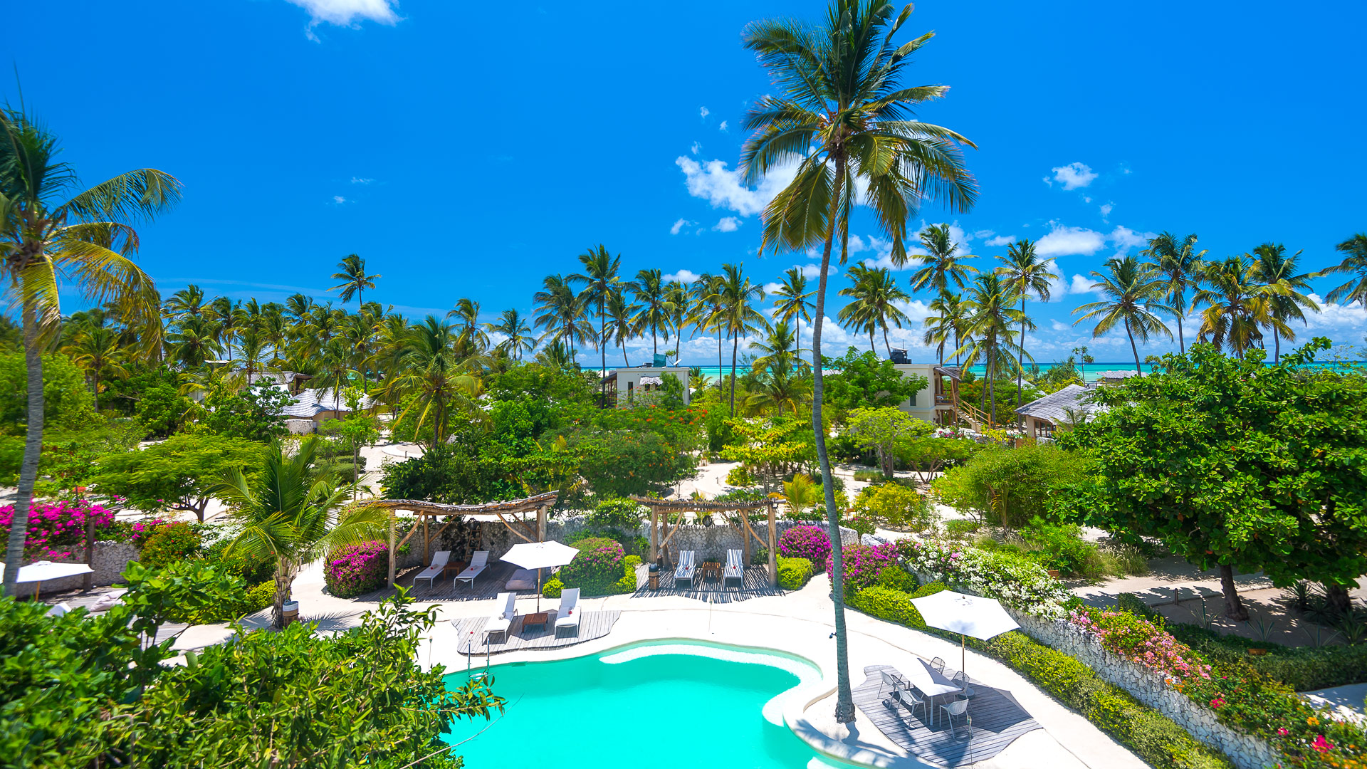 Zanzibar White Sand