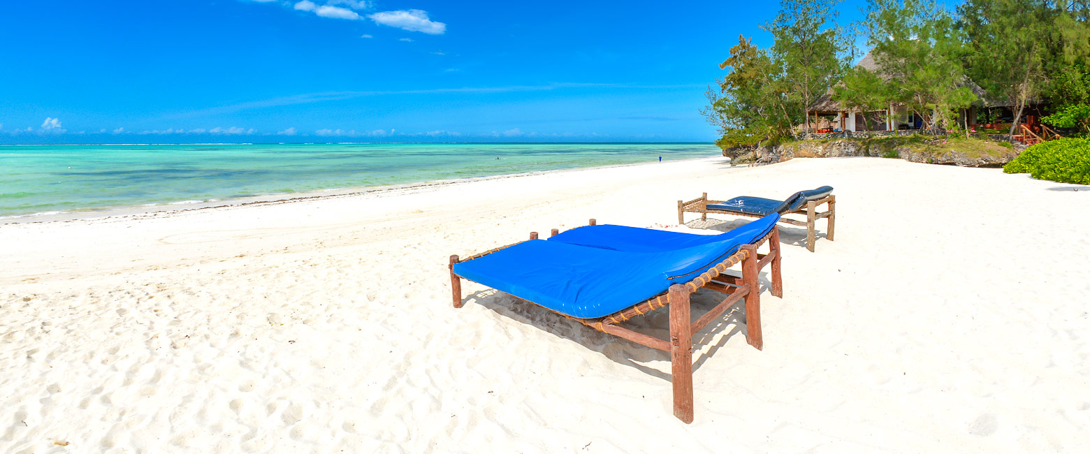 let us know your thoughts about Tanzania and we will help you create the perfect safari 