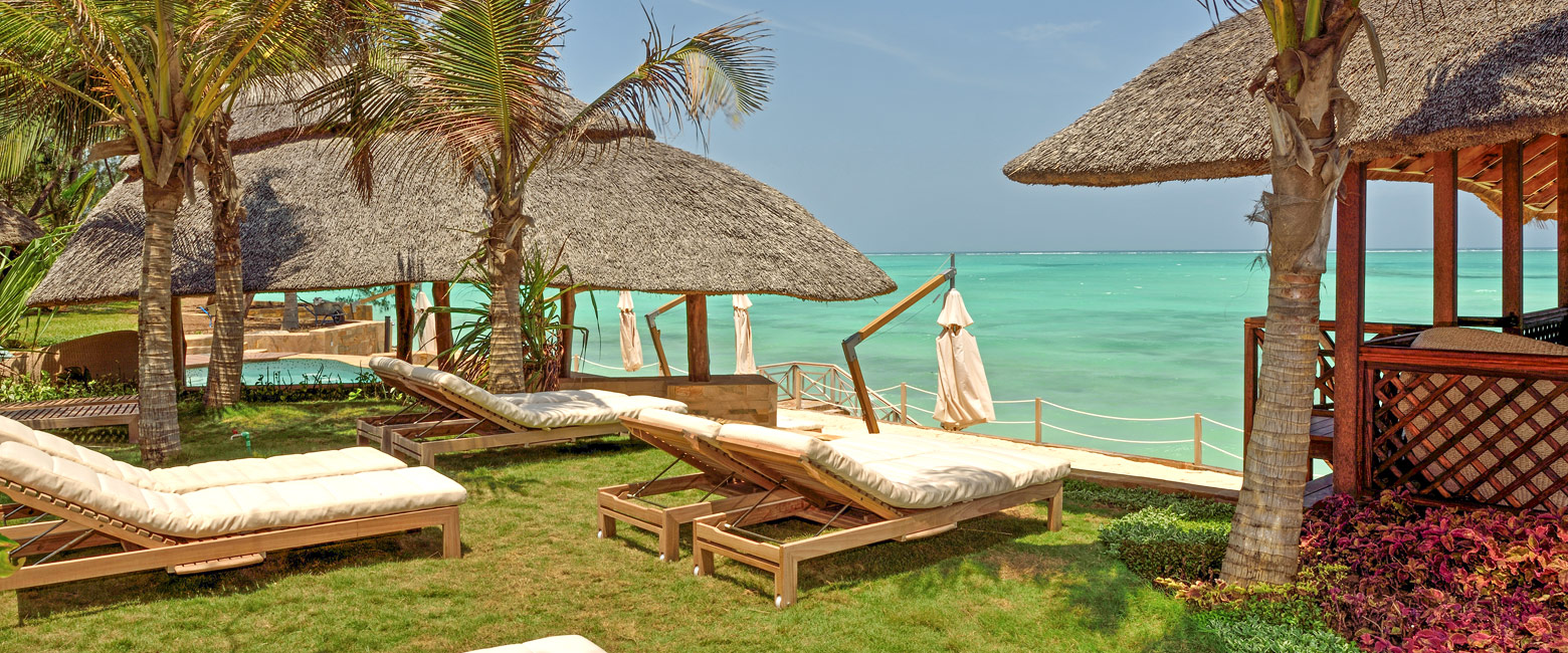 let us know your thoughts about Tanzania and we will help you create the perfect safari