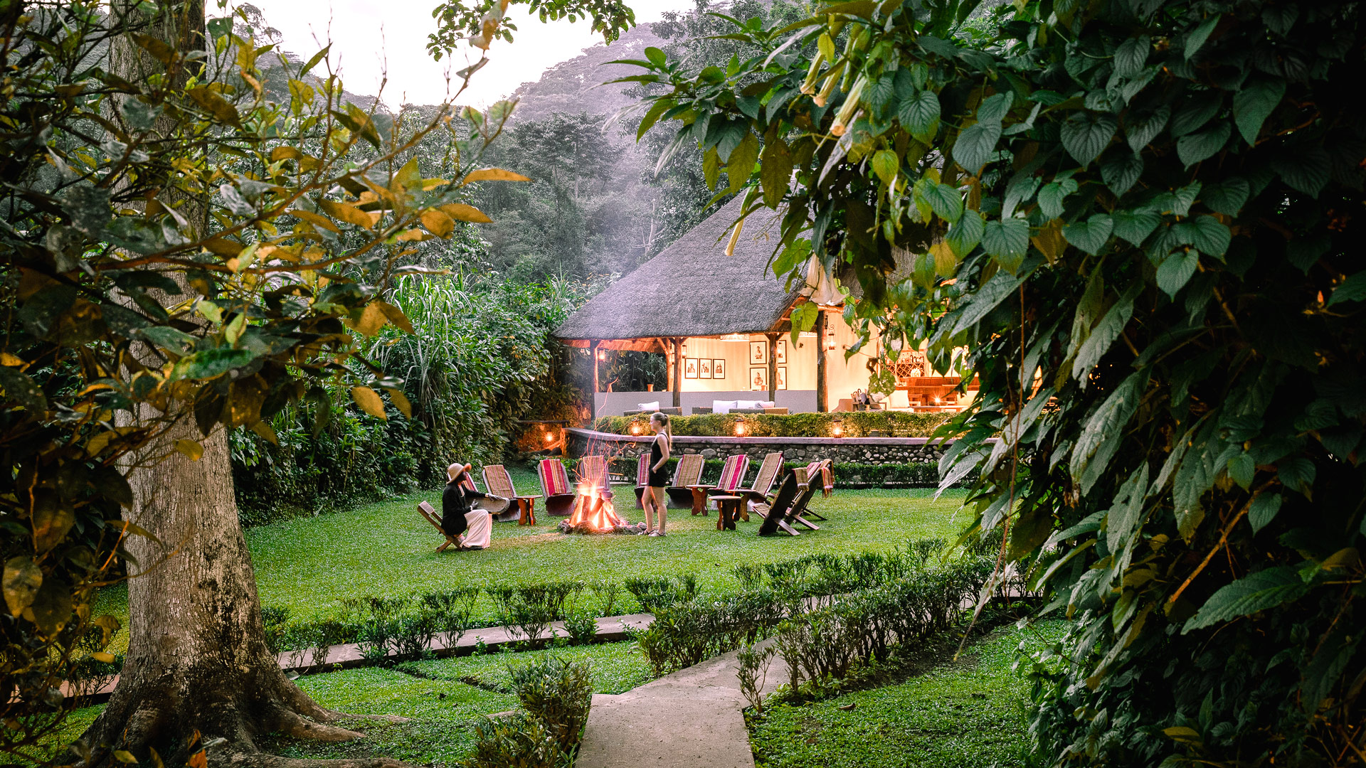 Gorilla Forest Camp