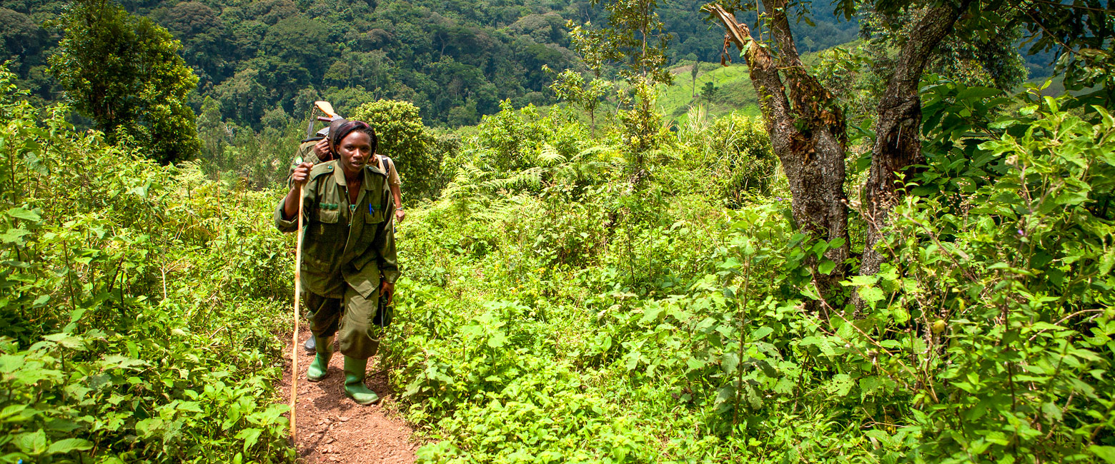 is the best mid-priced lodge in the Bwindi Forest area
