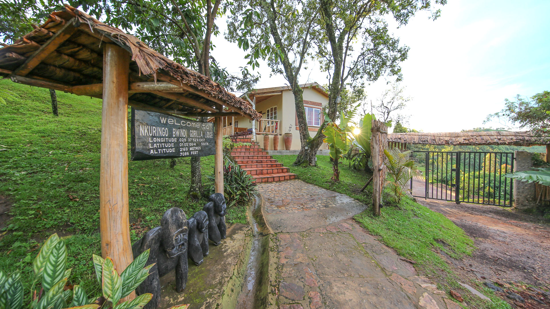 Nkuringo Gorilla Lodge