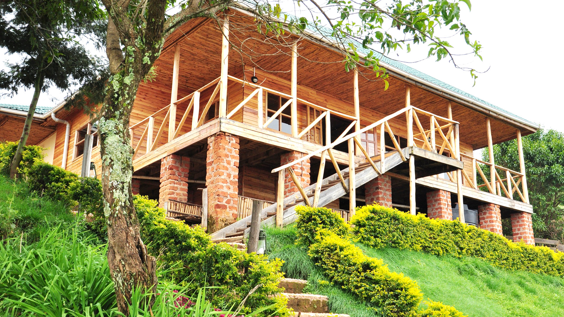 Ruhija Gorilla Lodge