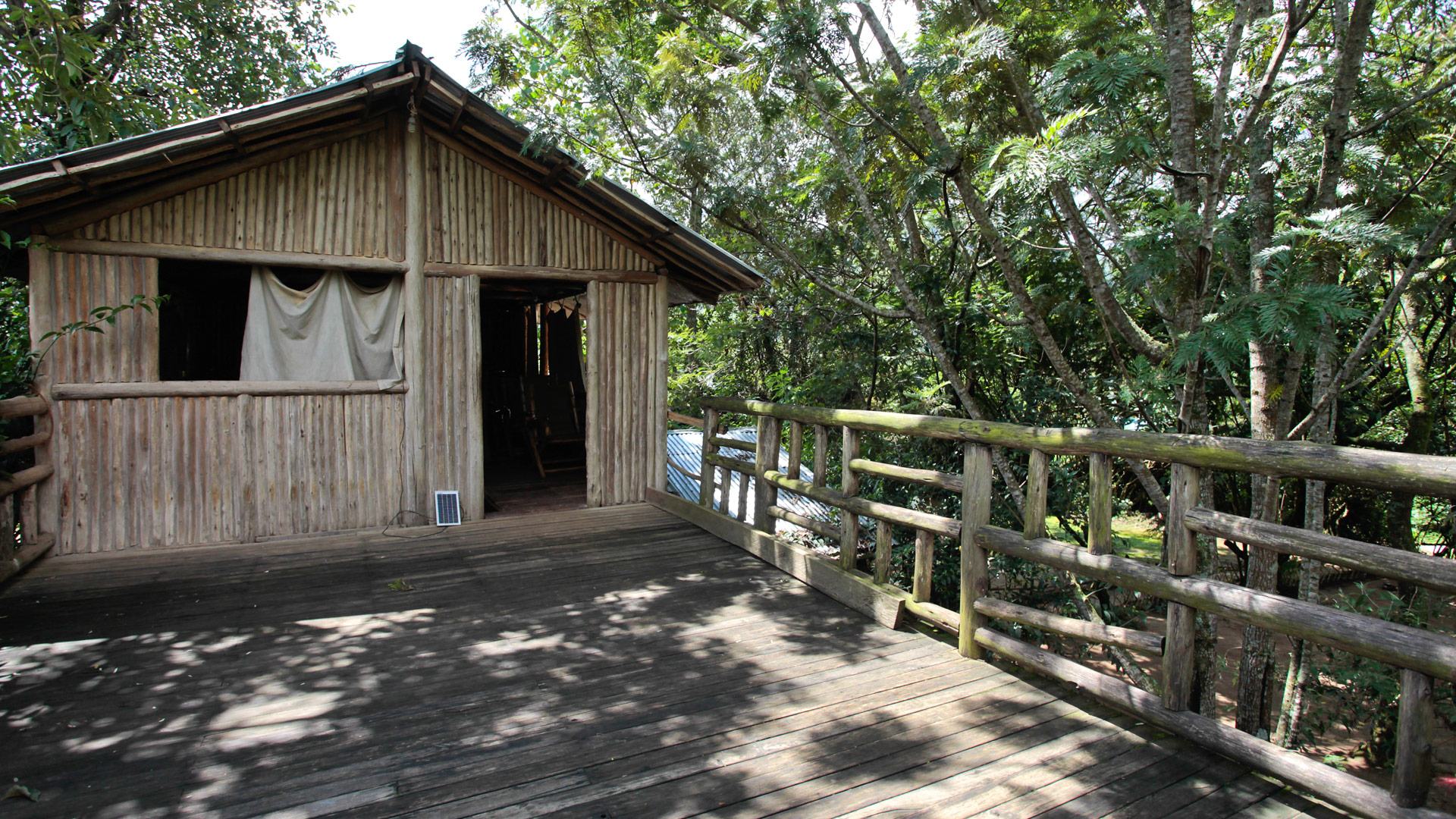 Wagtail Safari Camp