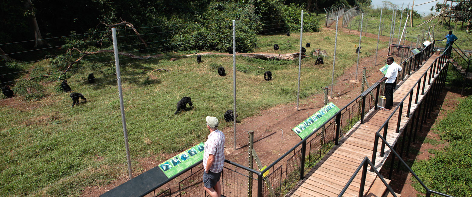 let us know your thoughts about Uganda and we will help you create the perfect safari 