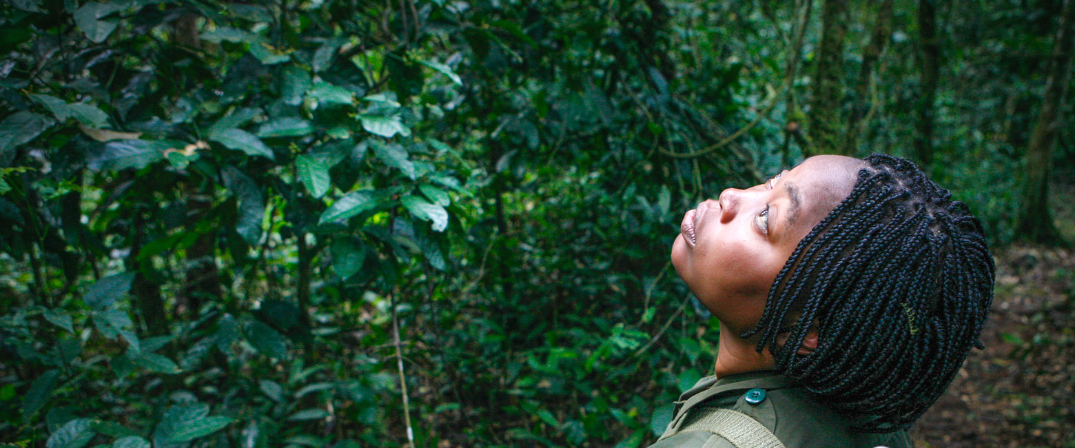 is the best location in Uganda for tracking chimpanzees 
