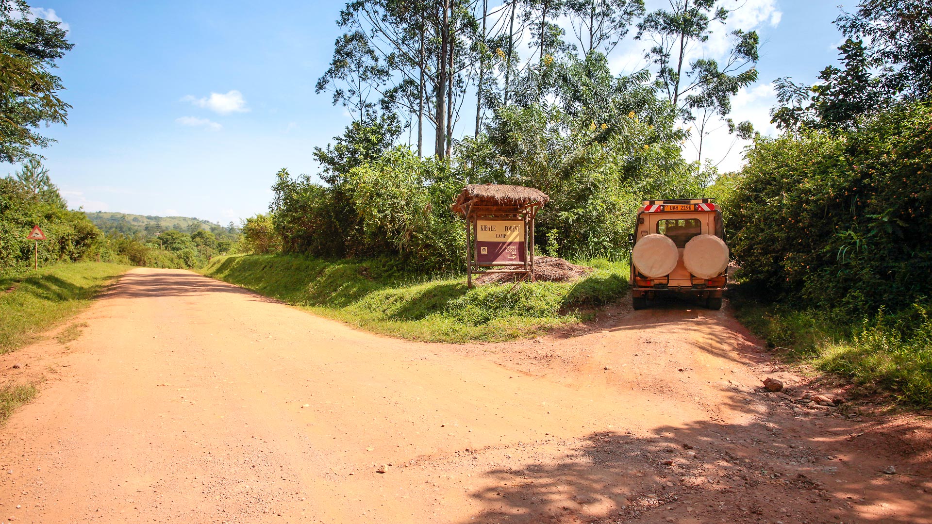 Kibale Forest Camp  ATR