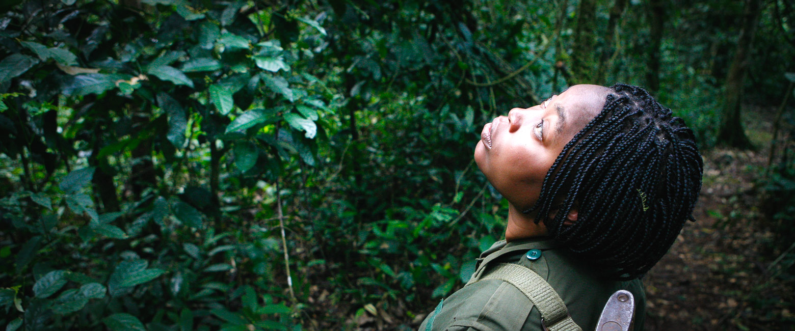is a characterful little place in the Kibale Forest area