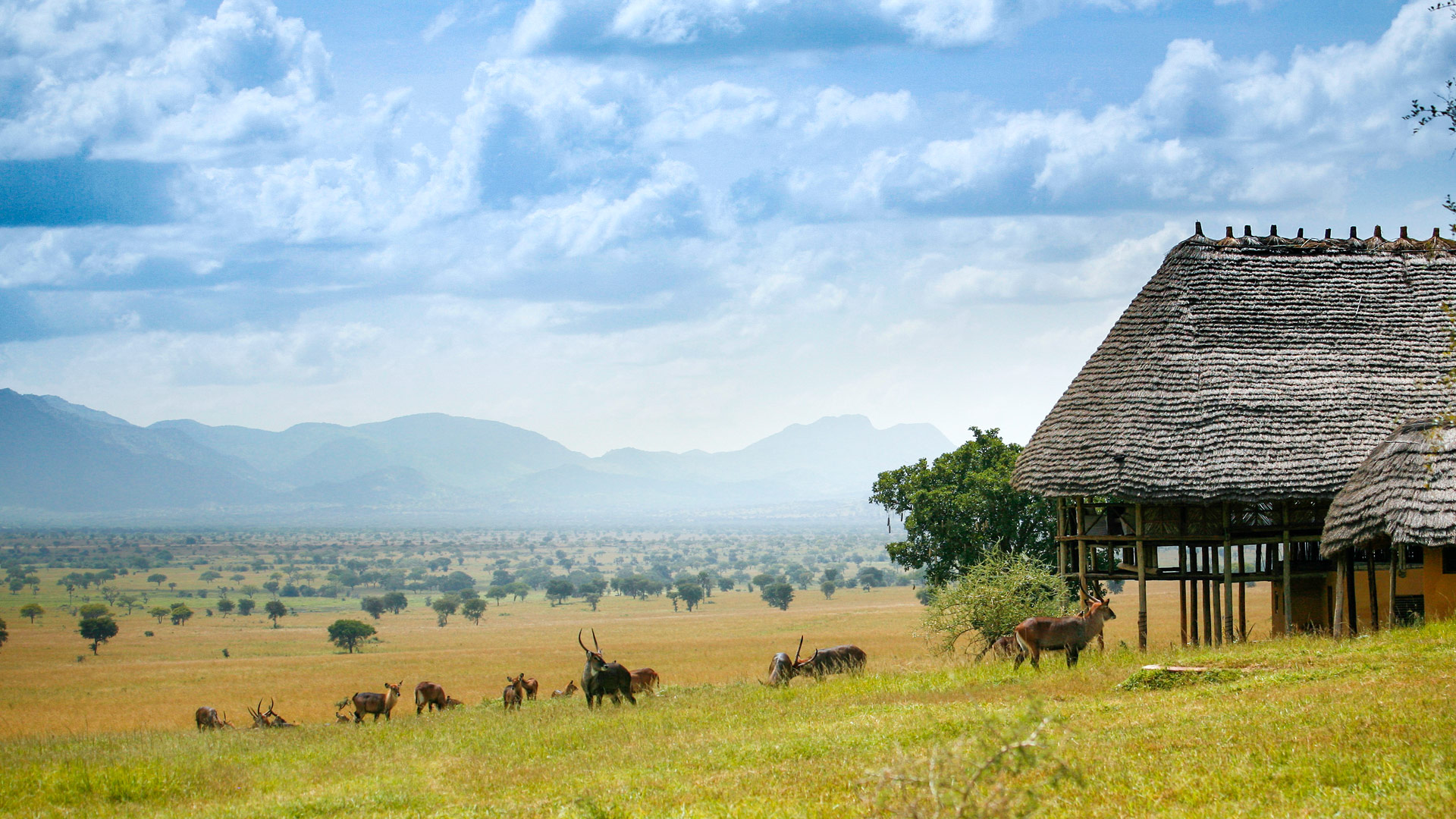Apoka Lodge