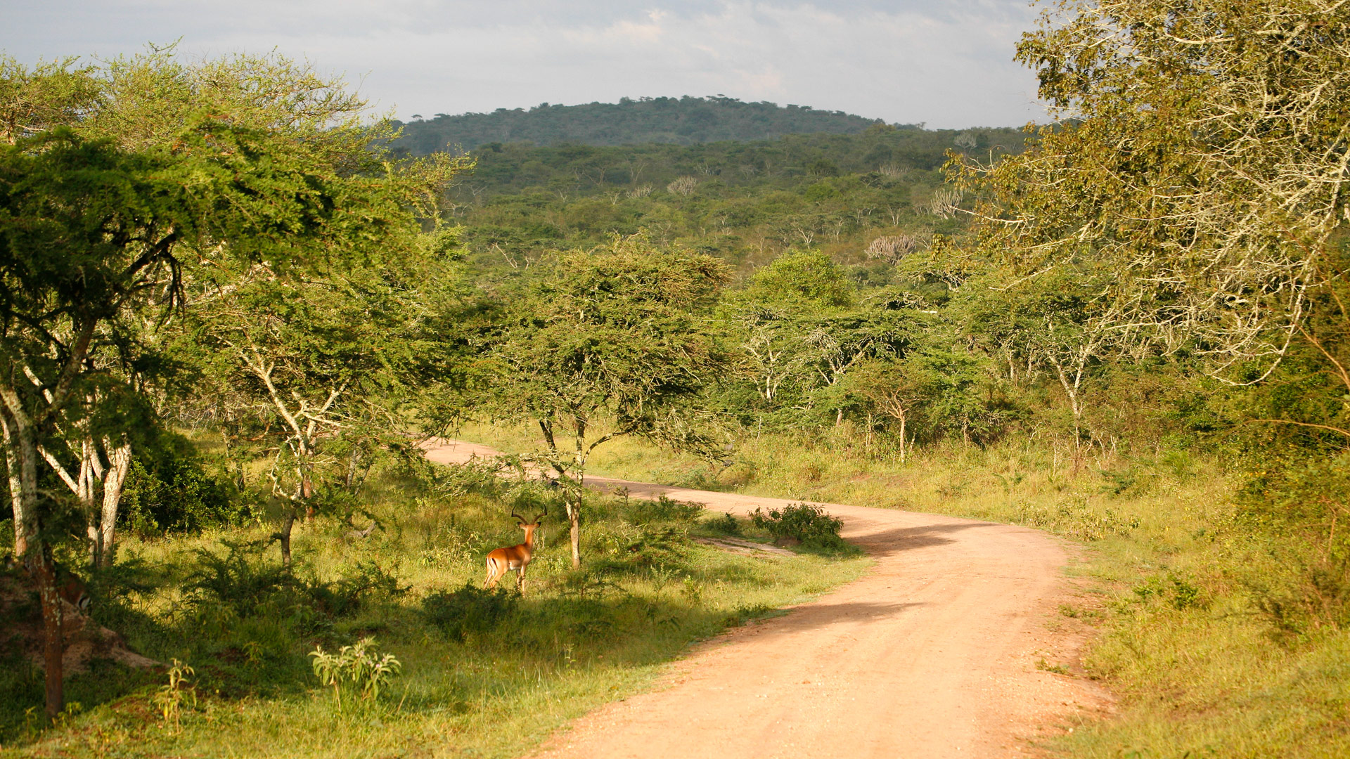 Safari to Lake Mburo
