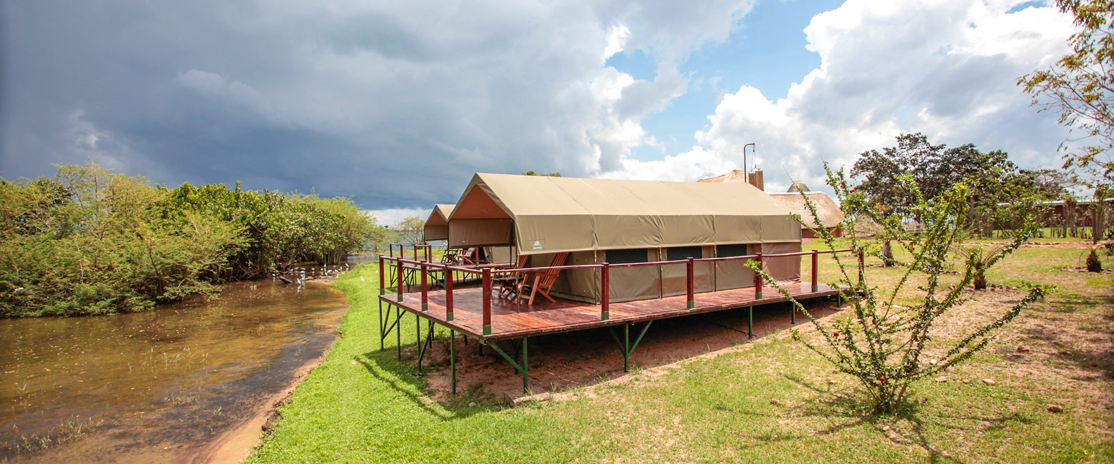 is a chimpanzee orphanage in the Lake Victoria North area 