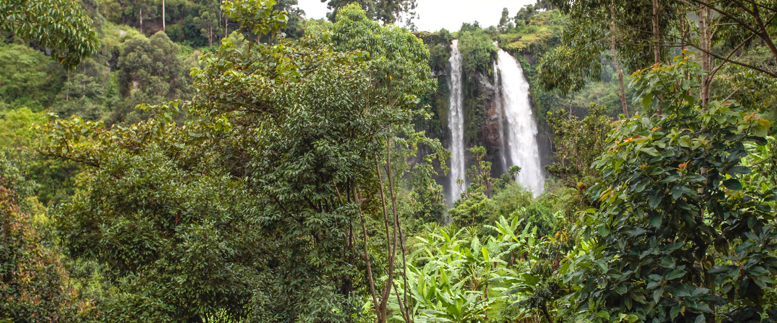 let us know your thoughts about Uganda and we will help you create the perfect safari