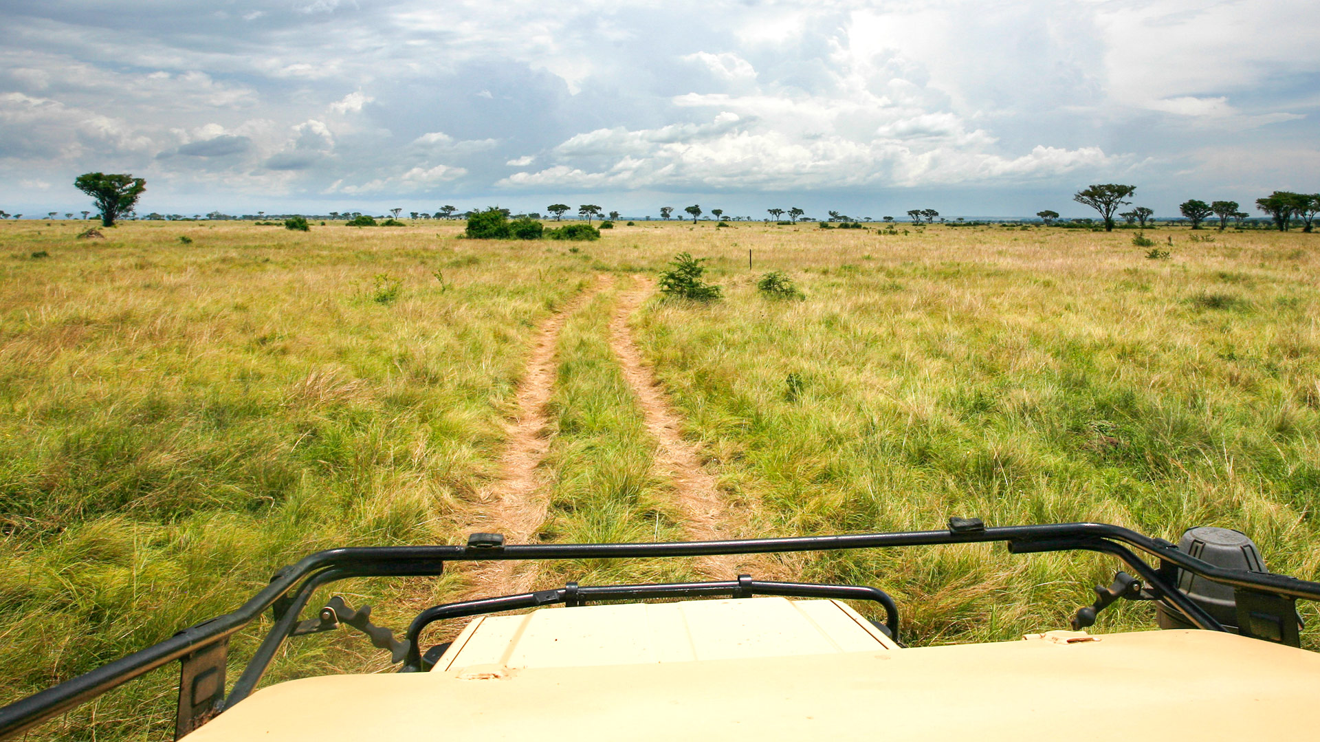 Safari to Queen Elizabeth
