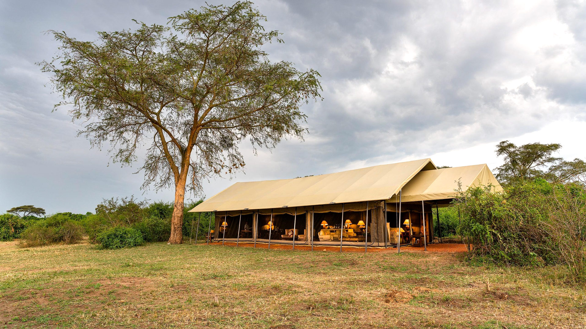 Honey Bear Bush Camp
