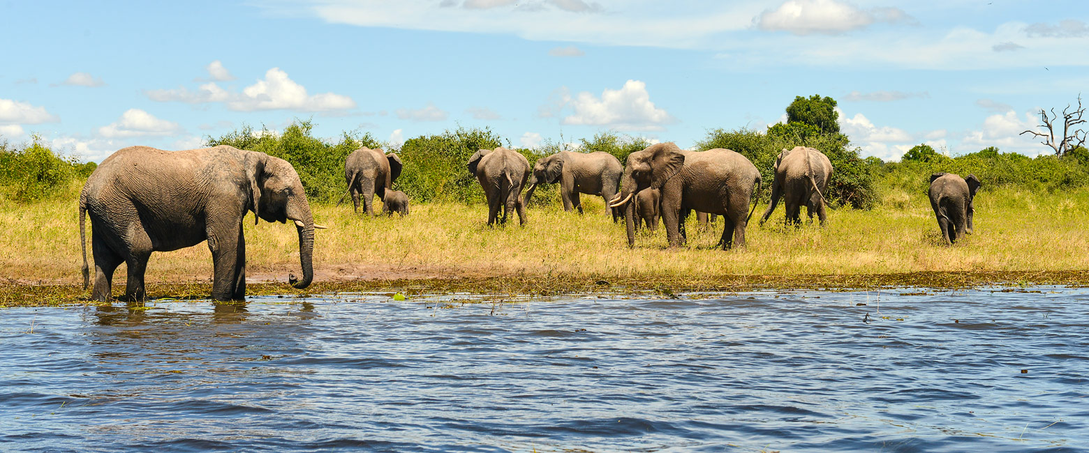let us know your thoughts about Uganda and we will help you create the perfect safari