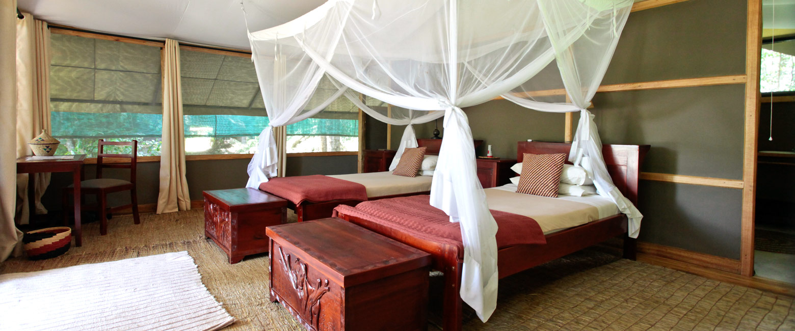 is an authentic outpost in the Queen Elizabeth area