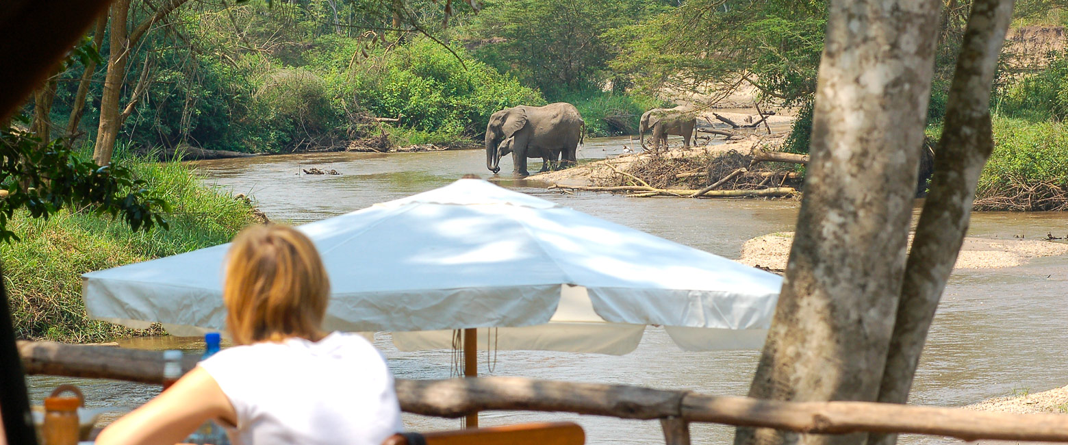 let us know your thoughts about Uganda and we will help you create the perfect safari