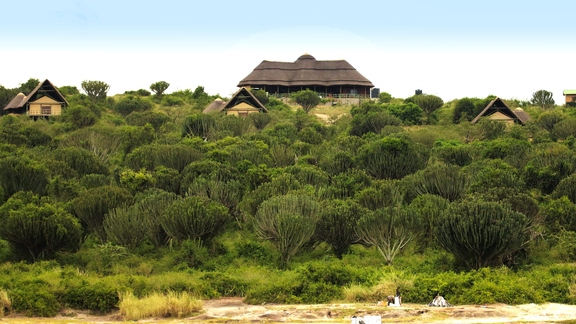 Kasenyi Safari Camp