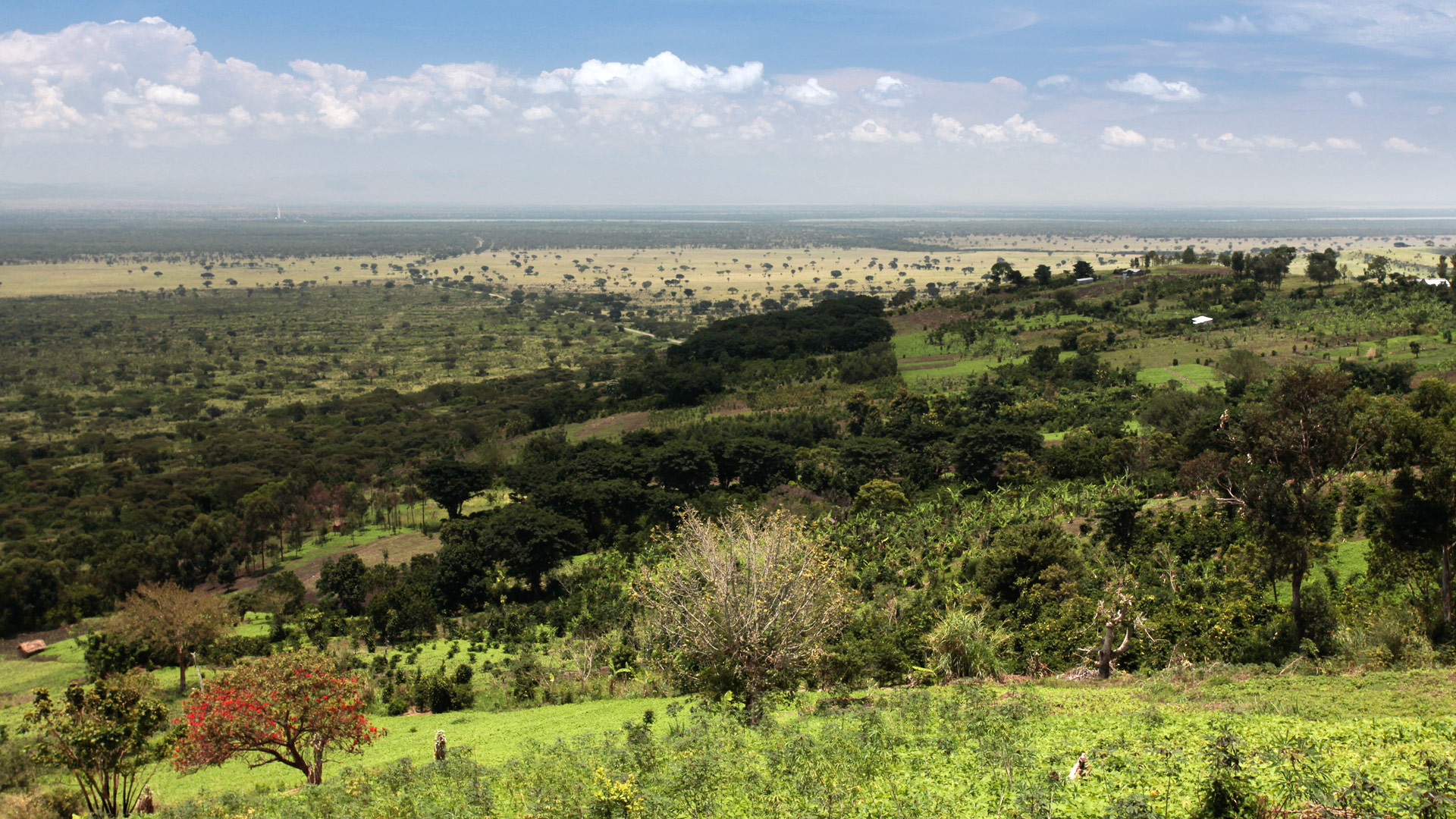 Rift Valley Game Lodge
