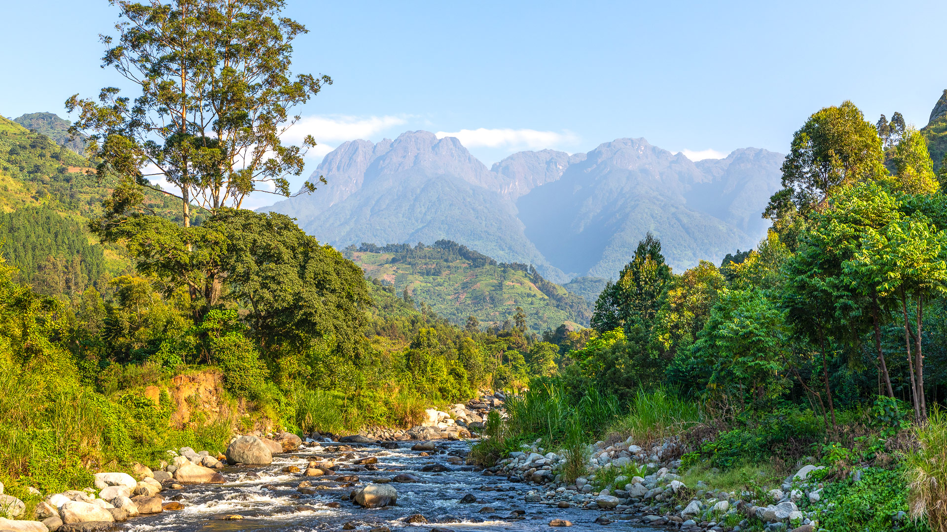 Safari to the Rwenzori Mountains