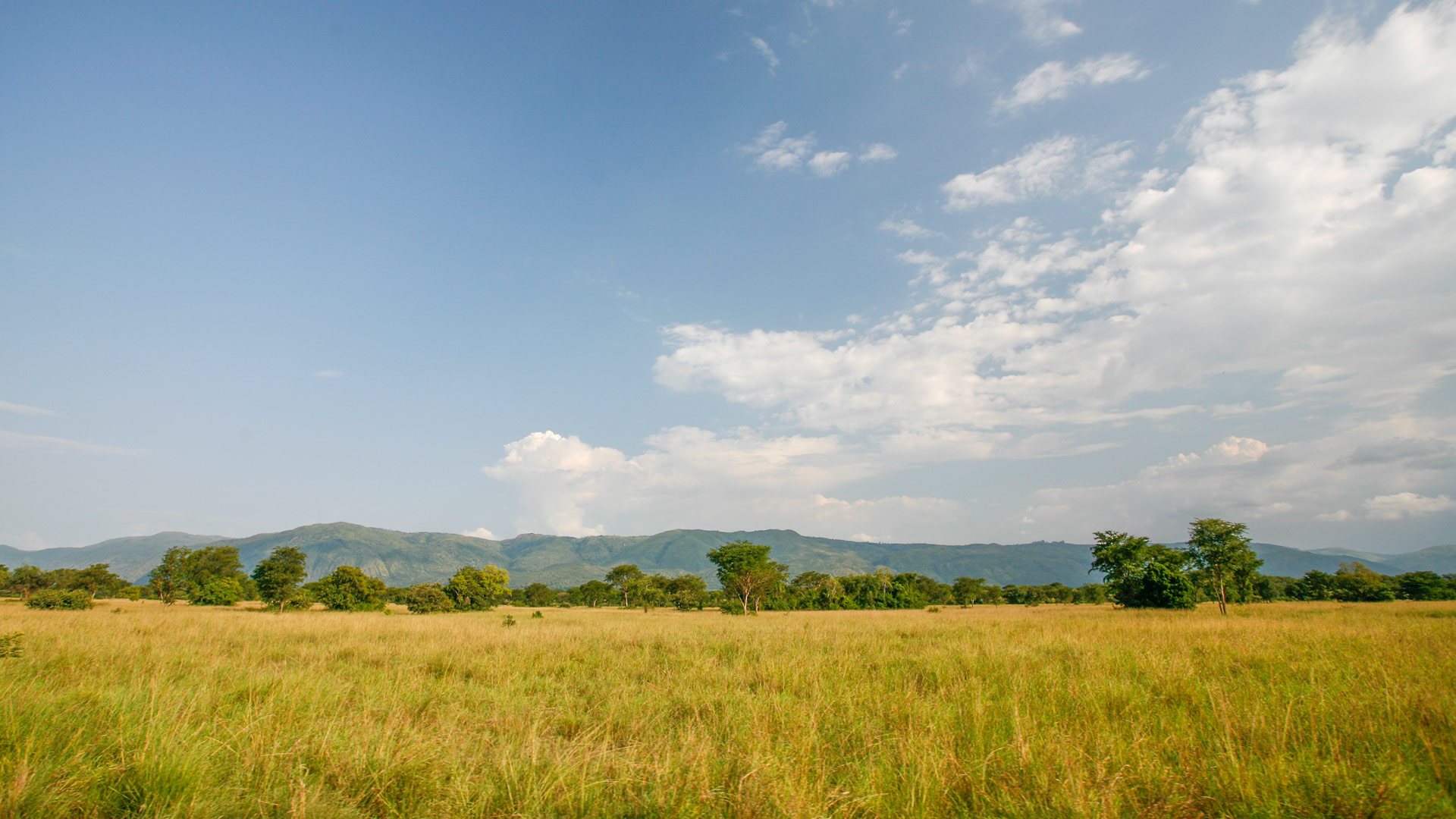 Safari to Semliki
