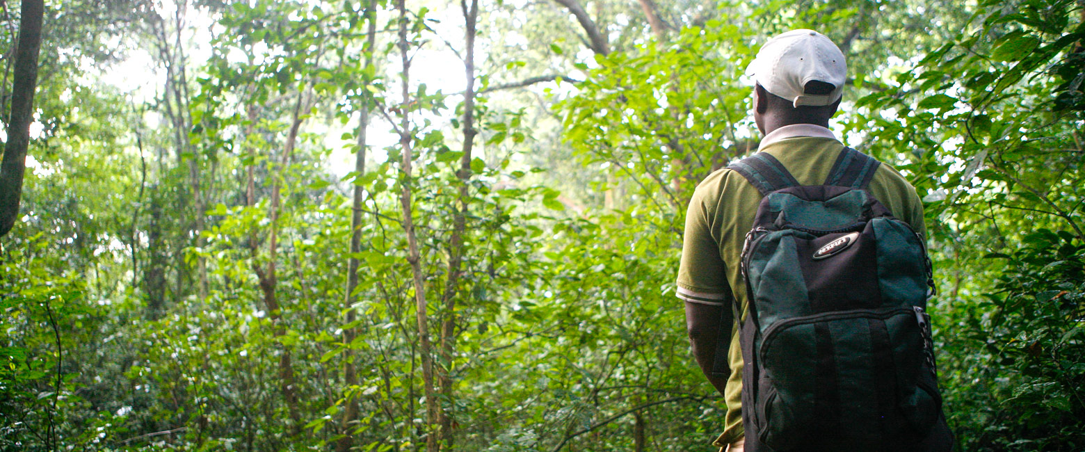 let us know your thoughts about Uganda and we will help you create the perfect safari