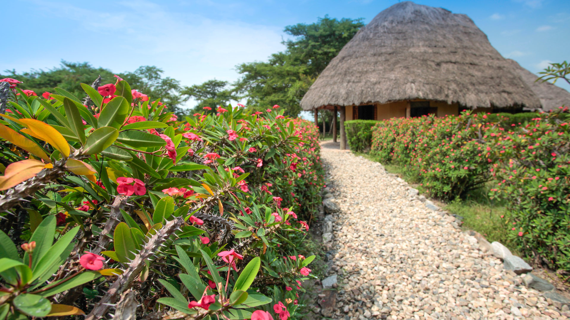 Semliki Safari Lodge