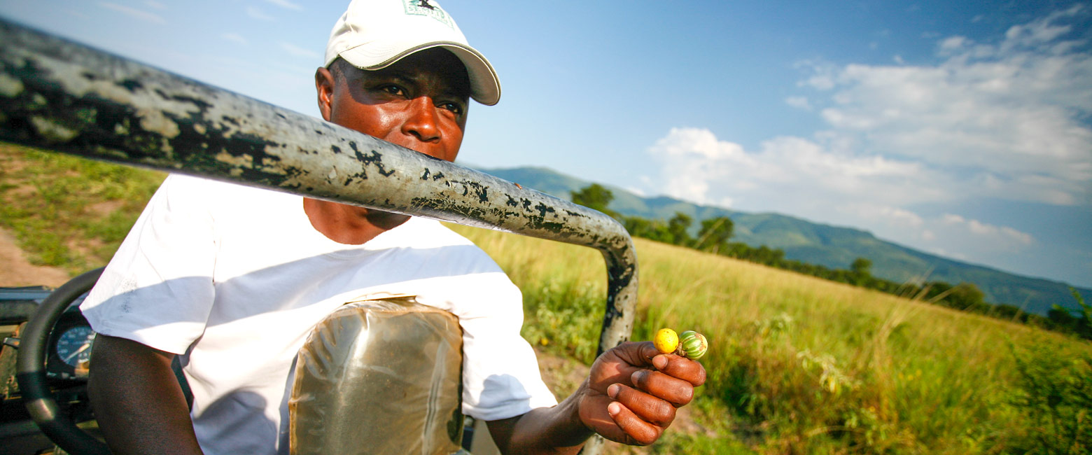 let us know your thoughts about Uganda and we will make sure to deliver the perfect safari 