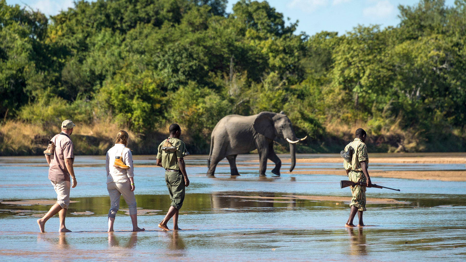 Safari in Zambia
