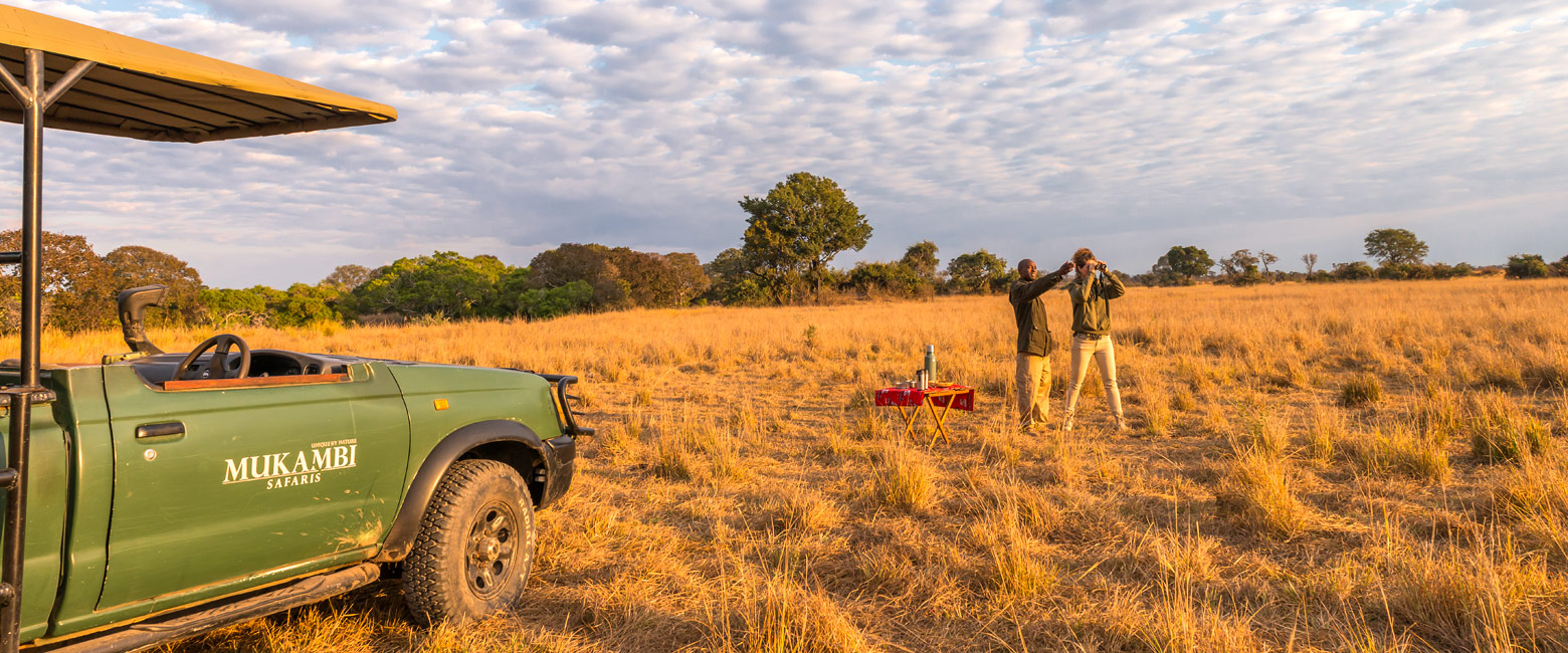 let us know your thoughts about Zambia and we will help you create the perfect safari