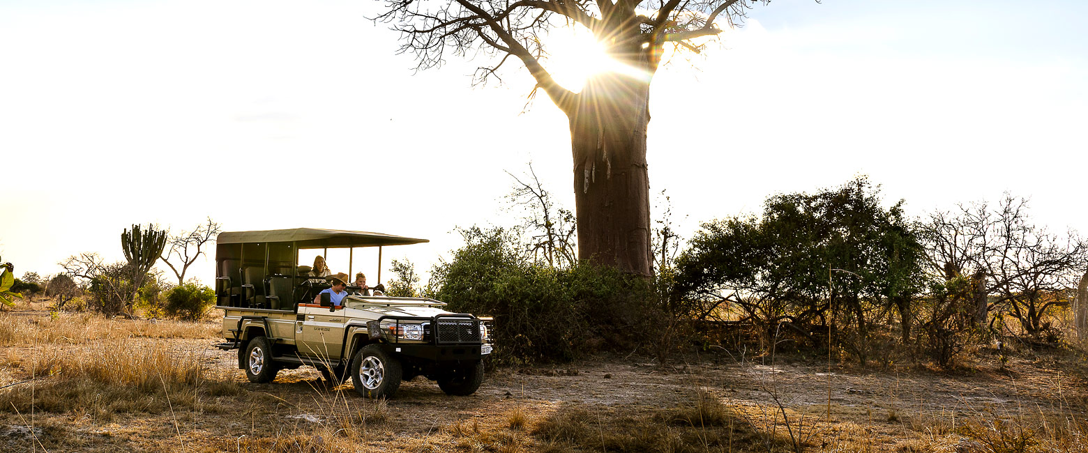 let us know your thoughts about Zambia and we will help you create the perfect safari
