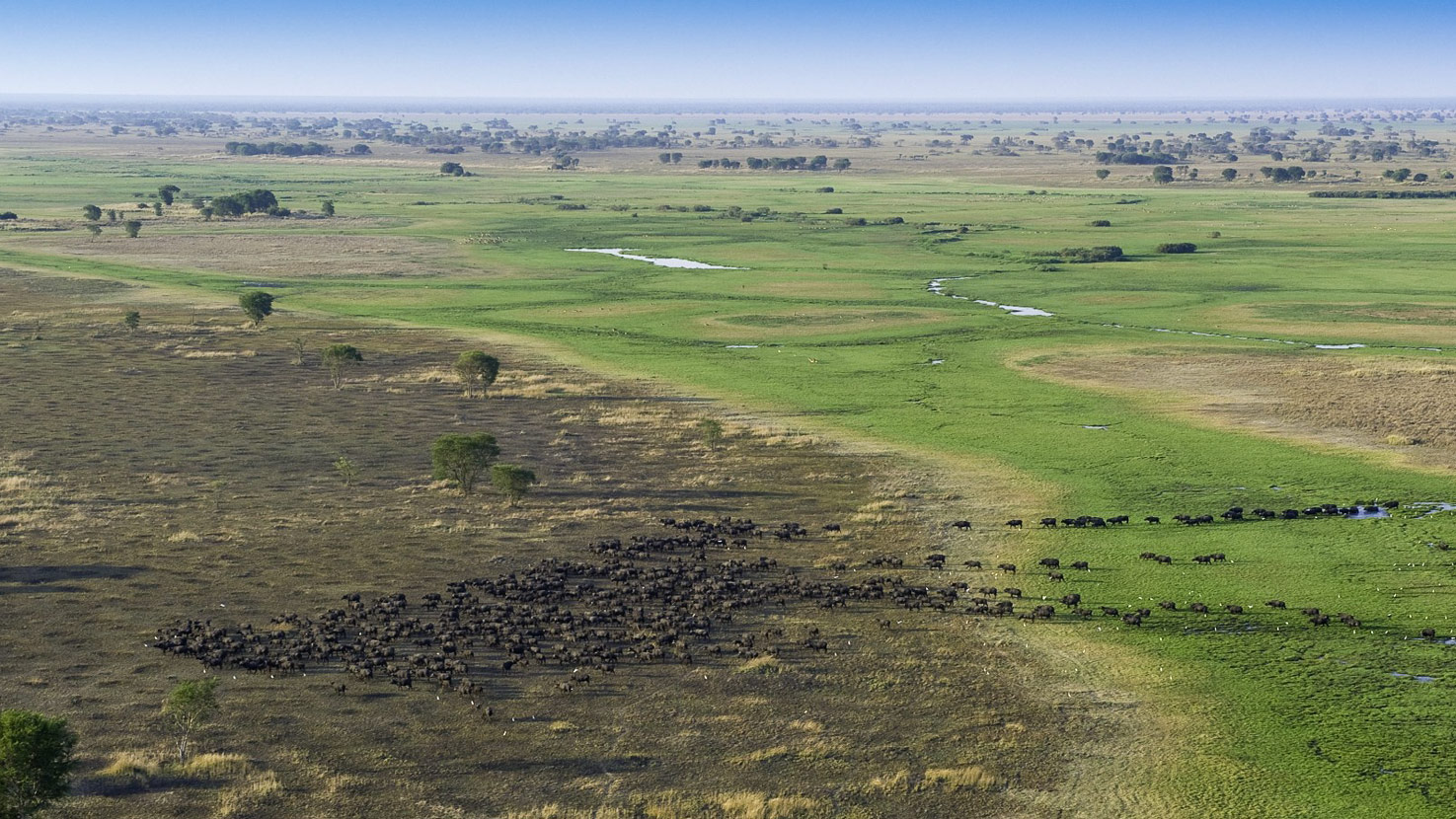 Musanza Bushcamp