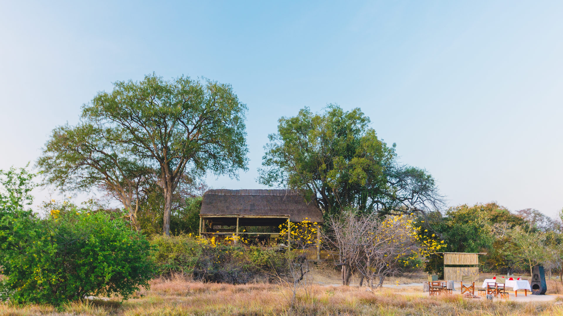 Ntemwa Busanga Camp