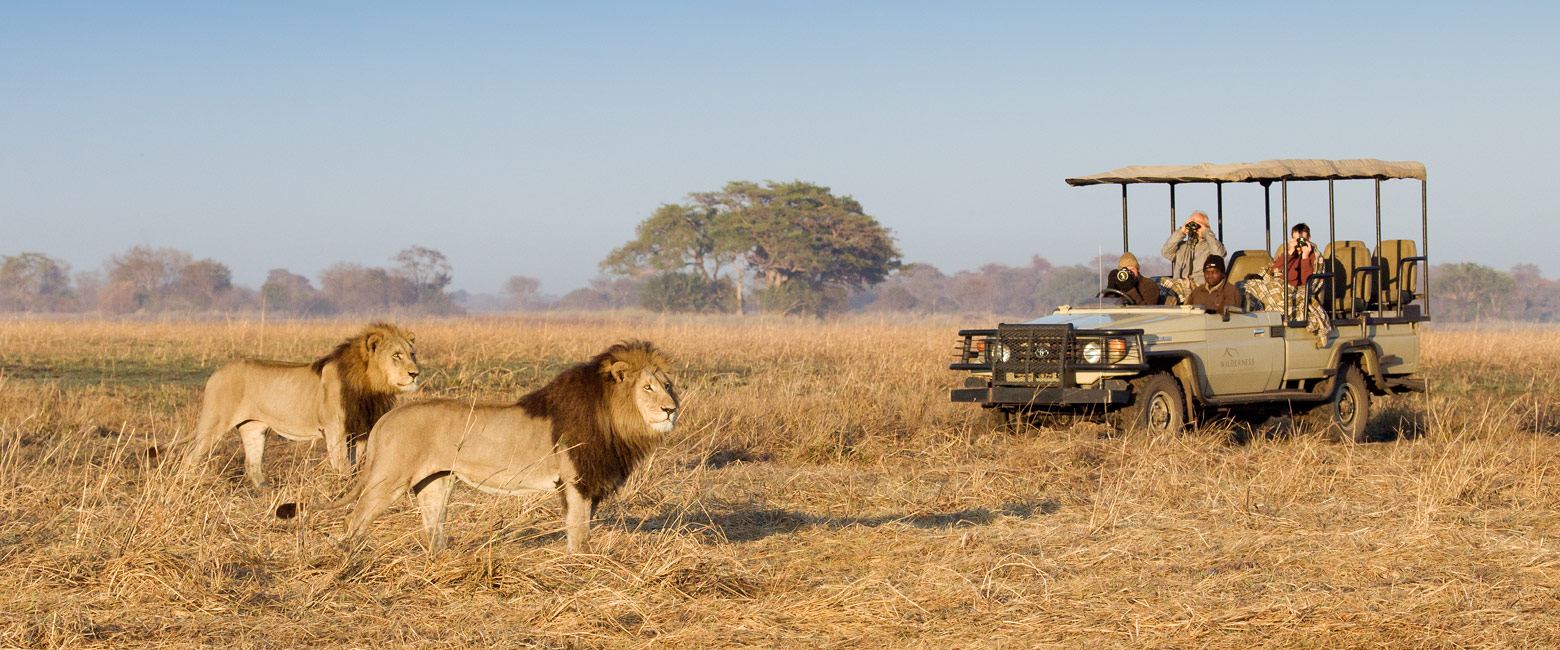 let us know your thoughts about Zambia and we will help you create the perfect safari