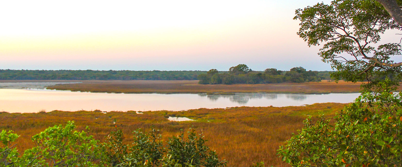 let us know your thoughts about Zambia and we will help you create the perfect safari 