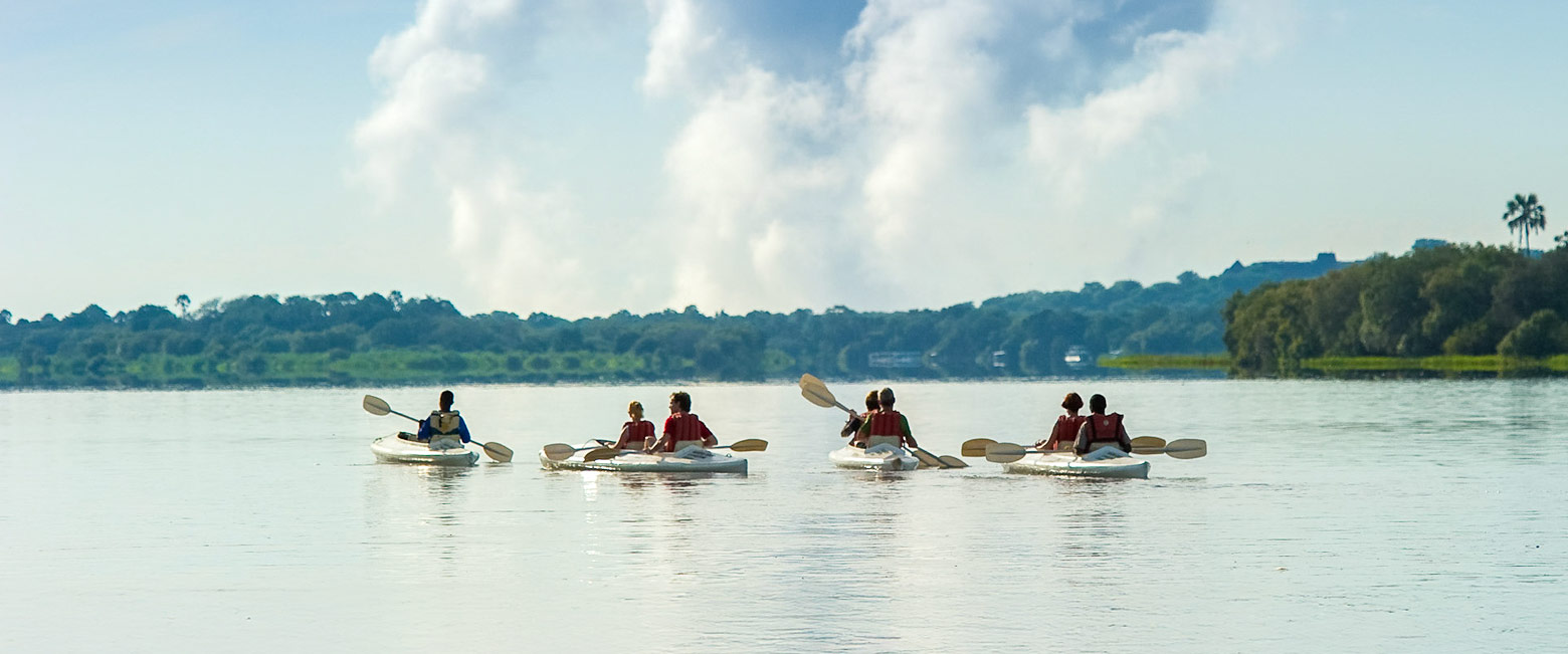 let us know your thoughts about Zambia and we will help to create the perfect safari