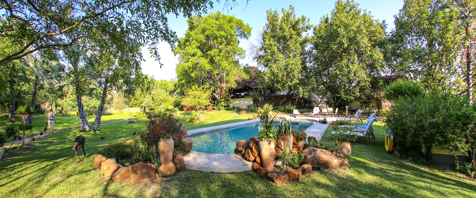 let us know your thoughts about Zambia and we will help you create the perfect safari 