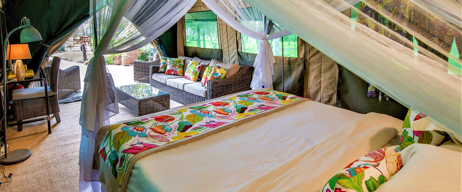 is a pleasantly simple base in the Livingstone area