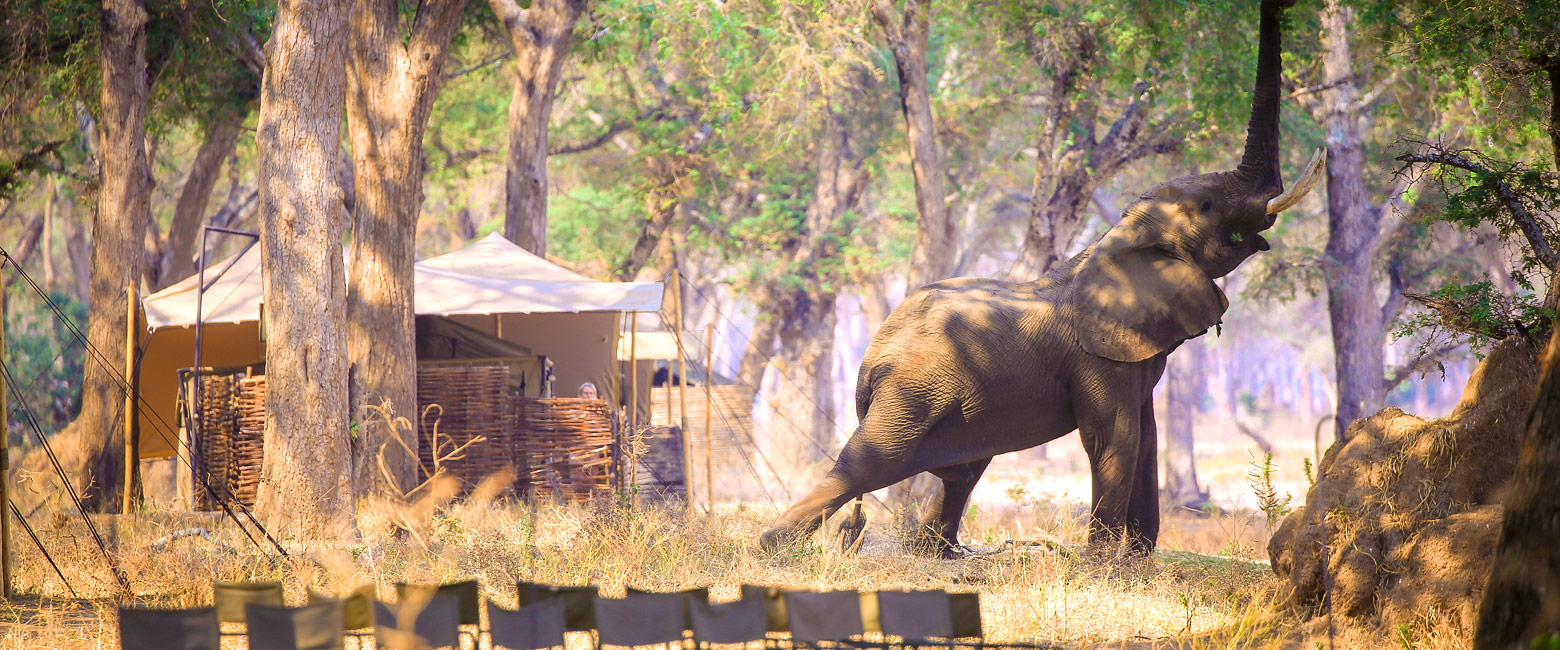 offers an unusually broad range of safari experiences