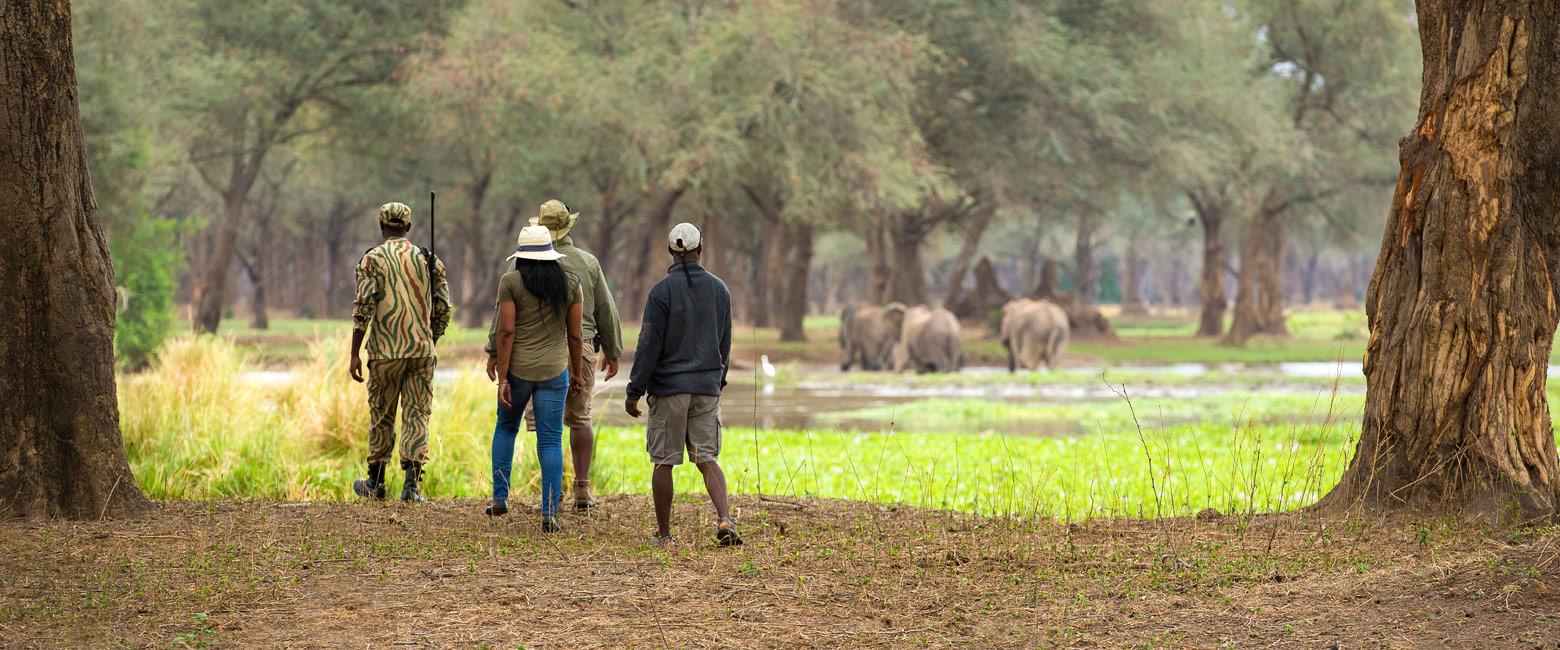 let us know your thoughts about Zambia and we will help you create the perfect safari