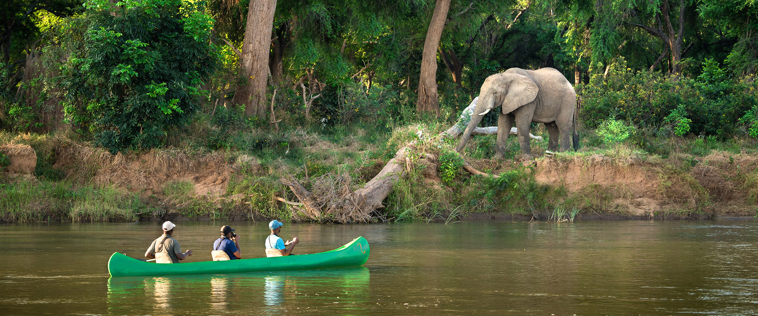 let us know your thoughts about Zambia and we will help you create the perfect safari