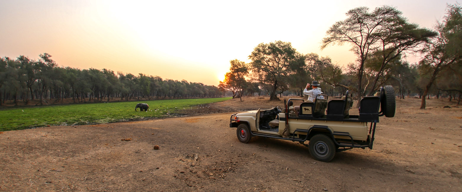 let us know your thoughts about Zambia and we will help you create the perfect safari