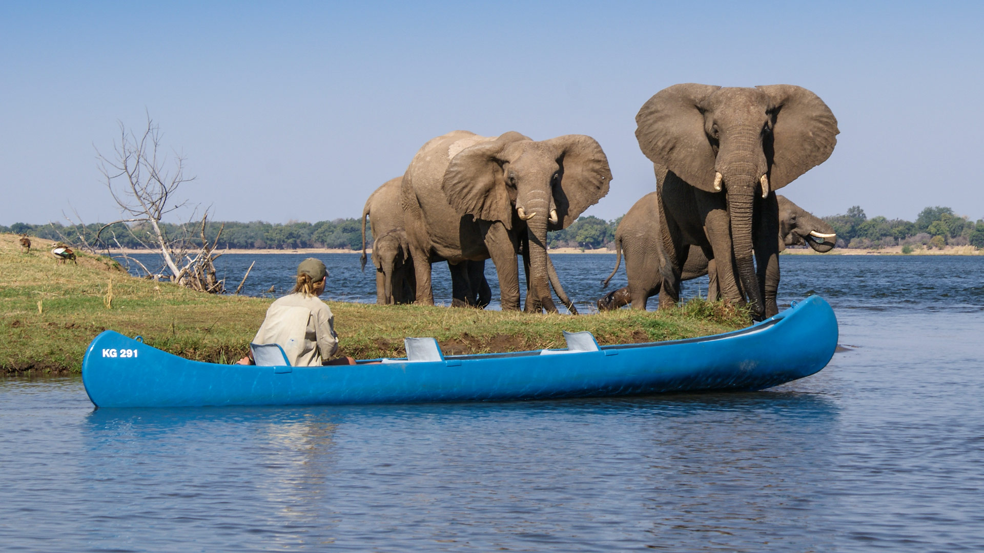 River Horse Canoe 3N