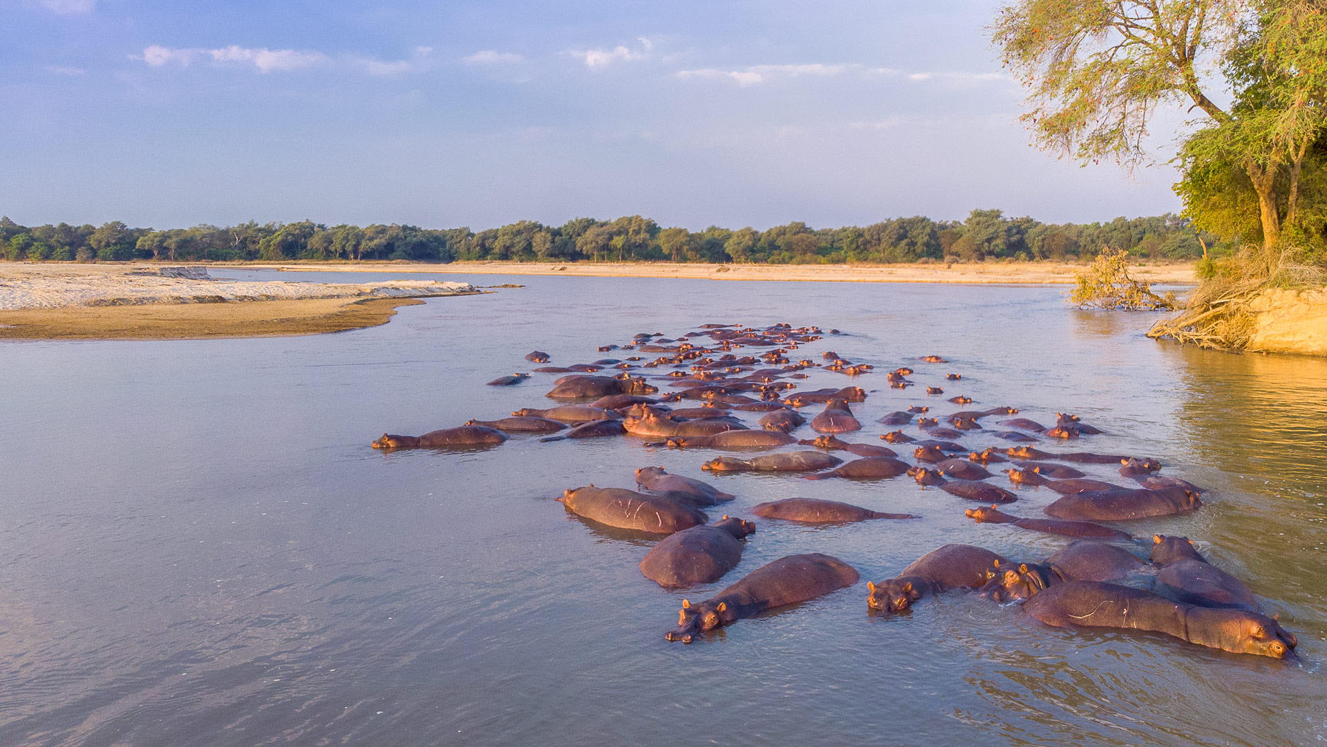 Safari to North Luangwa